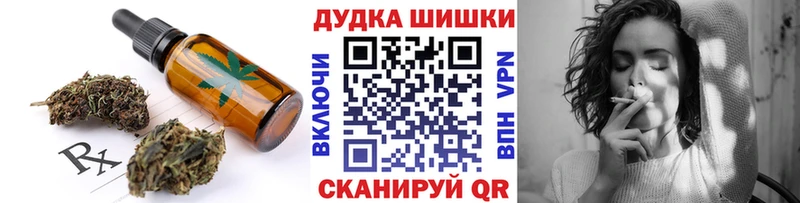 Купить где  Новомичуринск  Cannafood конопля 