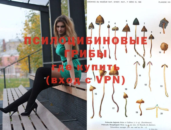 гашишное масло Богородицк