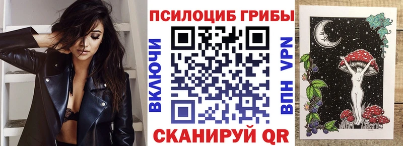 Купить где  Новомичуринск  Галлюциногенные грибы мицелий 
